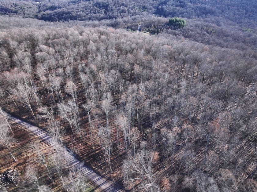 Build ready wooded lots near Yough Lake featuring recent septic - photo 8