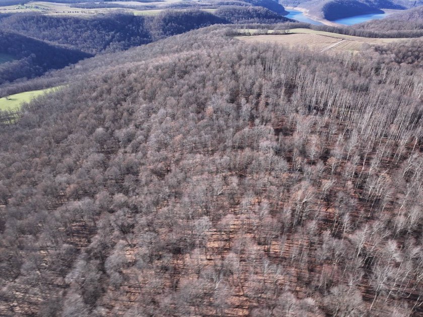 Build ready wooded lots near Yough Lake featuring recent septic - photo 10