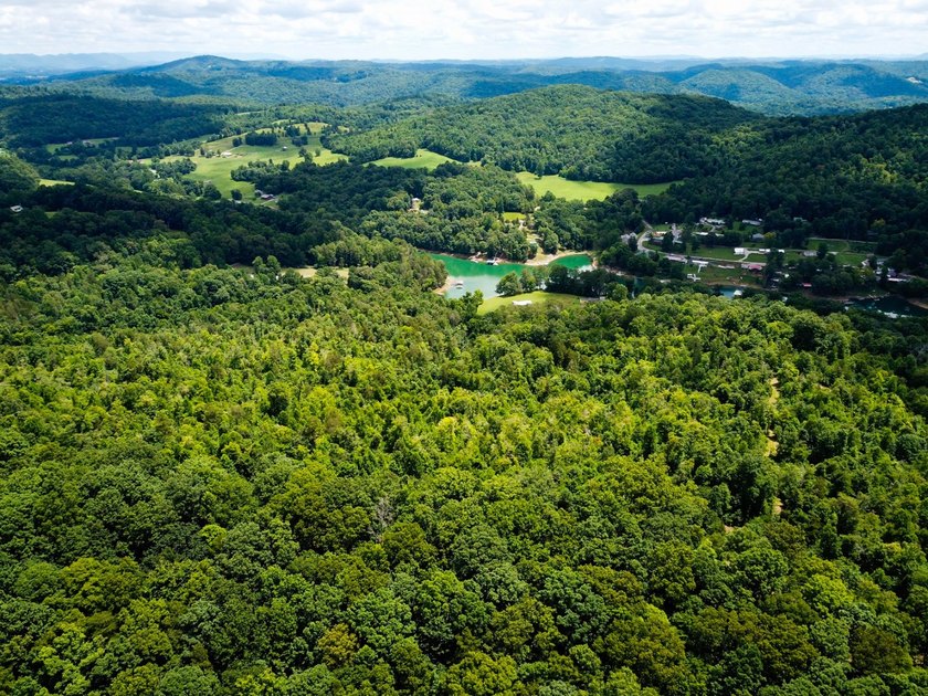 Introducing Lot 7 by Norris Lake in Union County, Tennessee: - photo 3