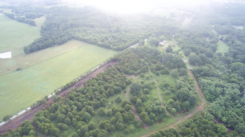 Down Farm Road 2255 lies approximately 100 acres of opportunity - photo 22