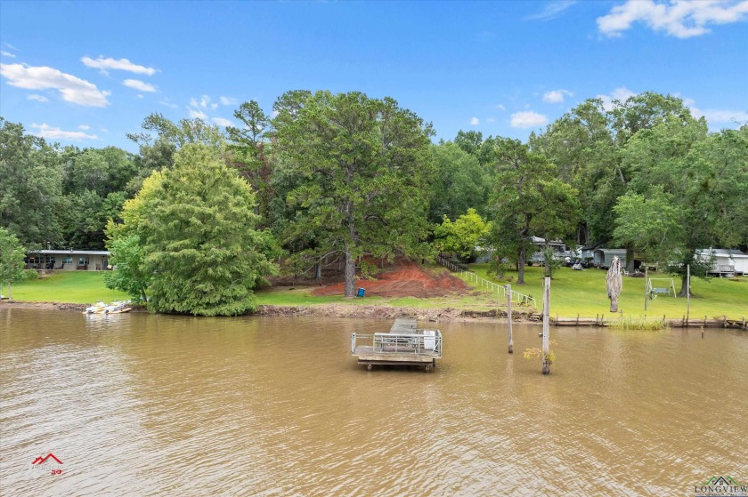 17328 CR 4256, Henderson, TX 75654, 3127919