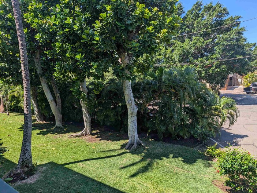 Best front row location in the complex with a partial ocean view - photo 24