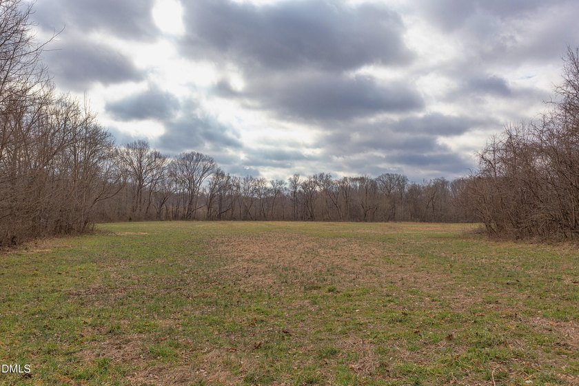 RIVERFRONT LAND overlooking DEEP CREEK! Build your Dream Home!! - photo 11