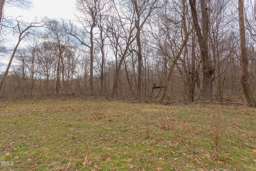 RIVERFRONT LAND overlooking DEEP CREEK! Build your Dream Home!! - photo 13