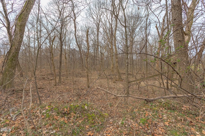 RIVERFRONT LAND overlooking DEEP CREEK! Build your Dream Home!! - photo 15