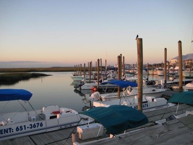 Coastal-Chic Split-Level in Sought-After Prince Creek - Primary - photo 43