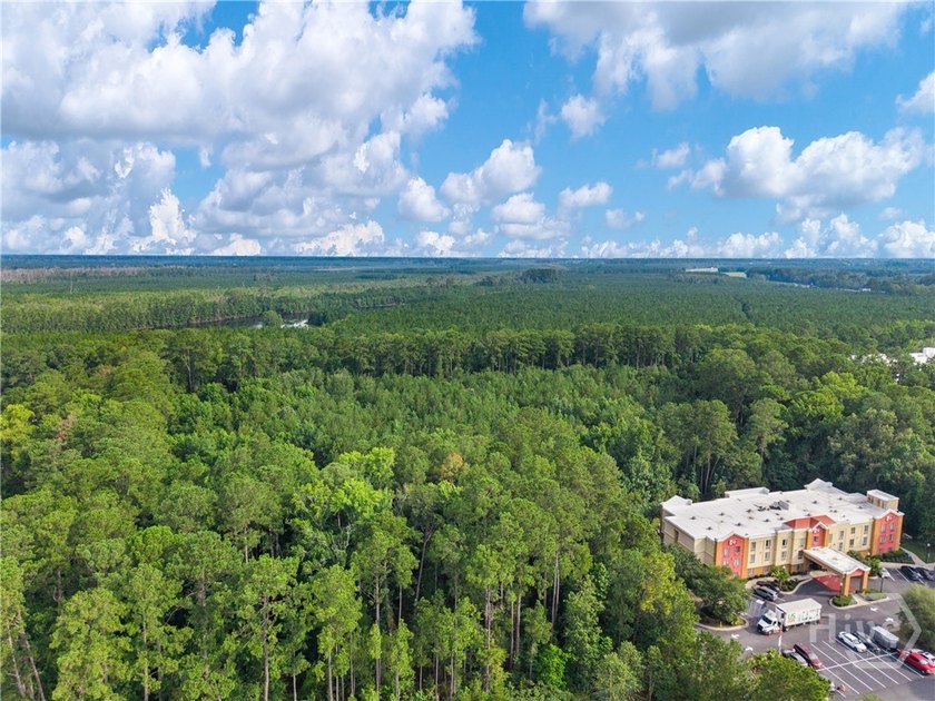 Richmond Hill, GA 31324 presents a compelling opportunity for - photo 14