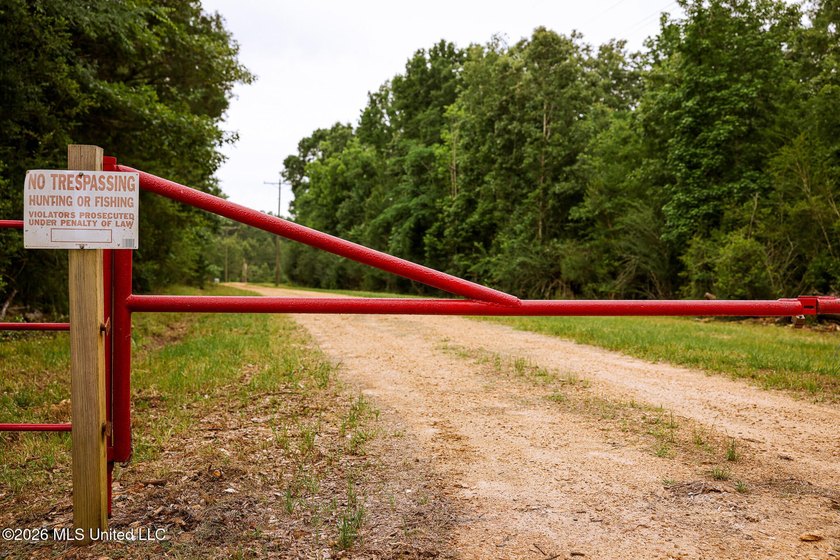 Land for sale in Amite County, MS. This beautiful 161-acre tract - photo 16