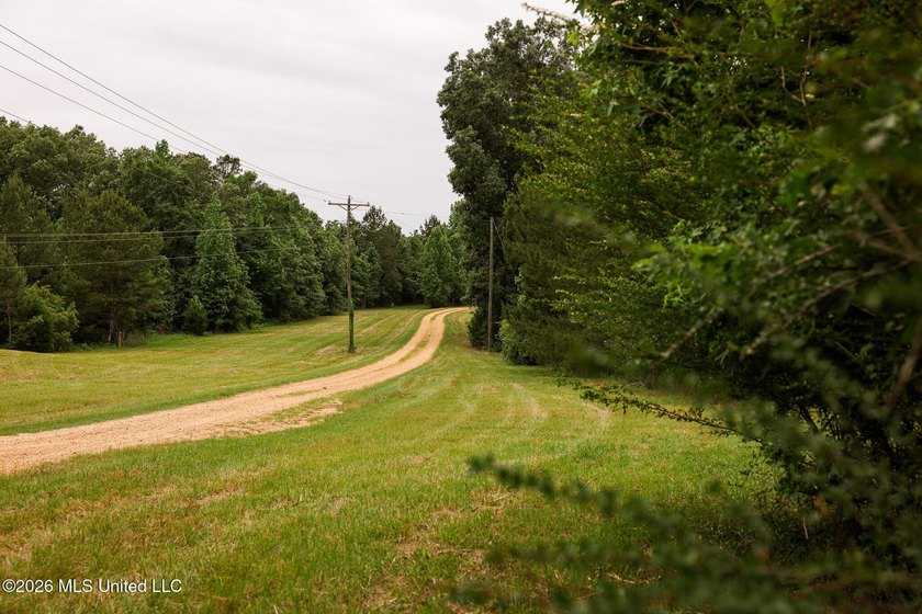 Land for sale in Amite County, MS. This beautiful 161-acre tract - photo 17