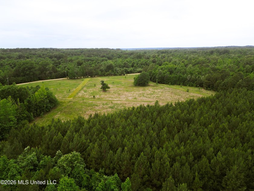 Land for sale in Amite County, MS. This beautiful 161-acre tract - photo 22