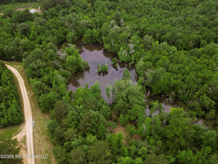 Land for sale in Amite County, MS. This beautiful 161-acre tract - photo 24