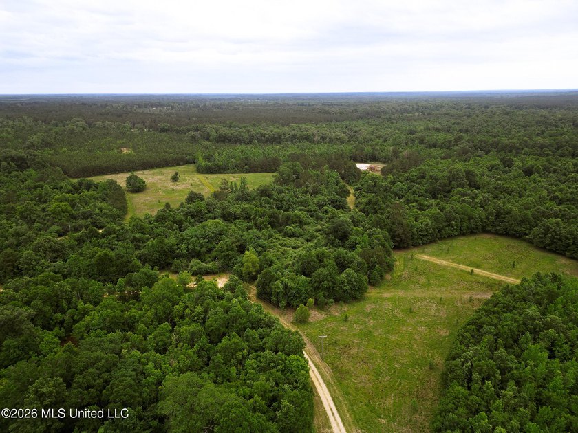 Land for sale in Amite County, MS. This beautiful 161-acre tract - photo 28