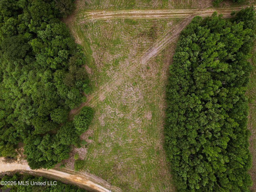 Land for sale in Amite County, MS. This beautiful 161-acre tract - photo 29
