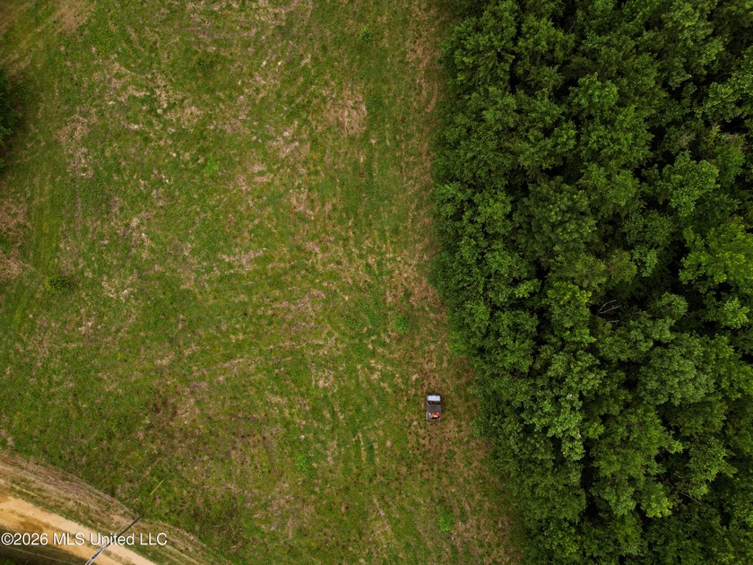 Land for sale in Amite County, MS. This beautiful 161-acre tract - photo 30