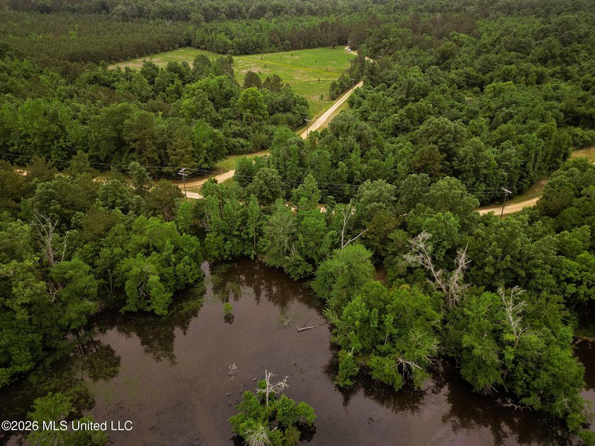 Land for sale in Amite County, MS. This beautiful 161-acre tract - photo 31