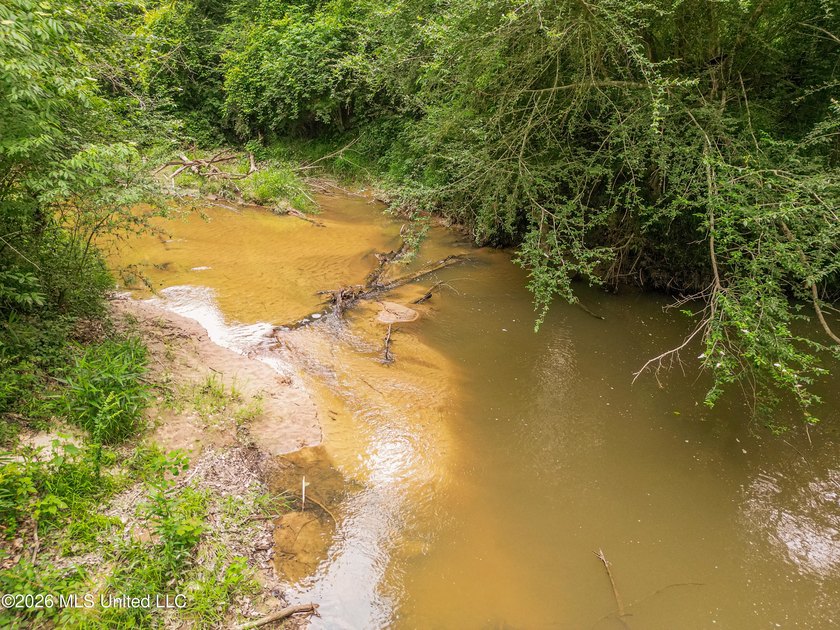 Land for sale in Amite County, MS. This beautiful 161-acre tract - photo 33