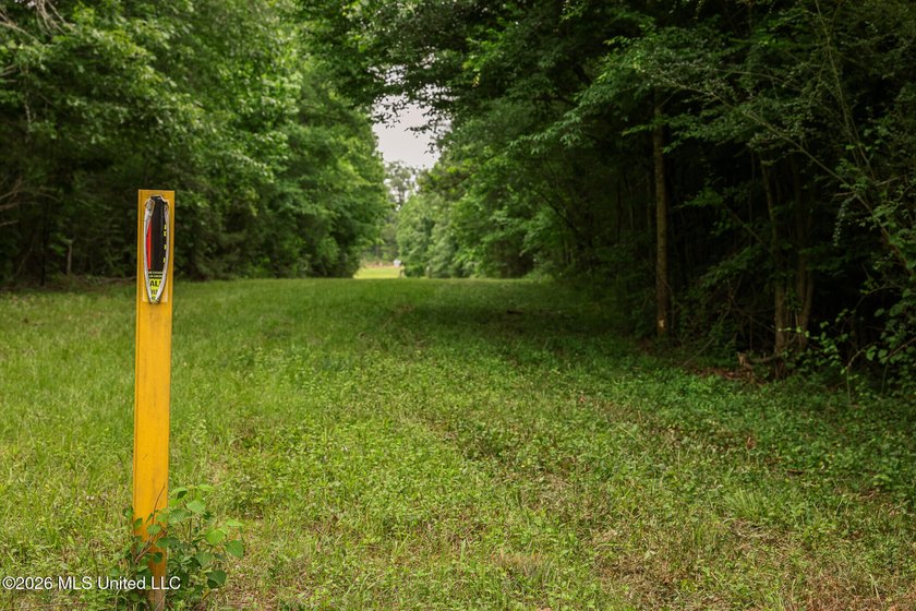 Land for sale in Amite County, MS. This beautiful 161-acre tract - photo 39