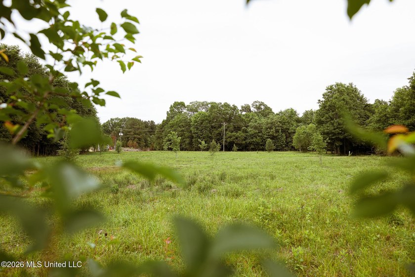 Land for sale in Amite County, MS. This beautiful 161-acre tract - photo 42