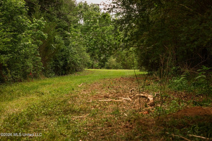 Land for sale in Amite County, MS. This beautiful 161-acre tract - photo 48