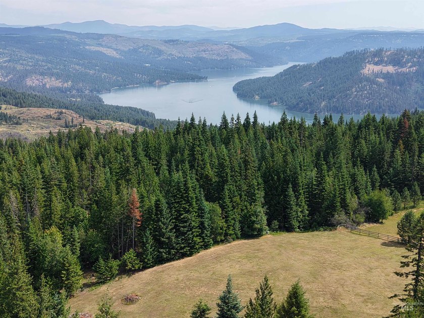Stunning Views of Dworshak Reservoir | Fully Renovated Log Home - photo 10