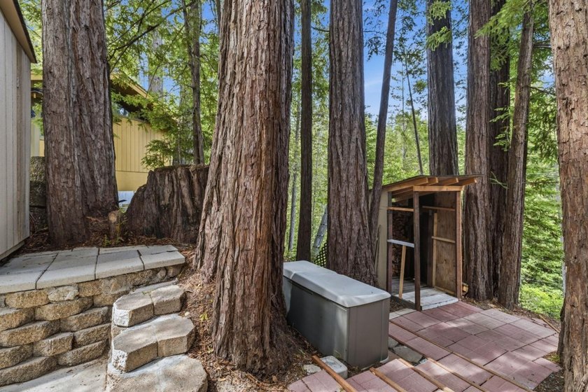 Nestled among the majestic redwoods of Boulder Creek, this - photo 40