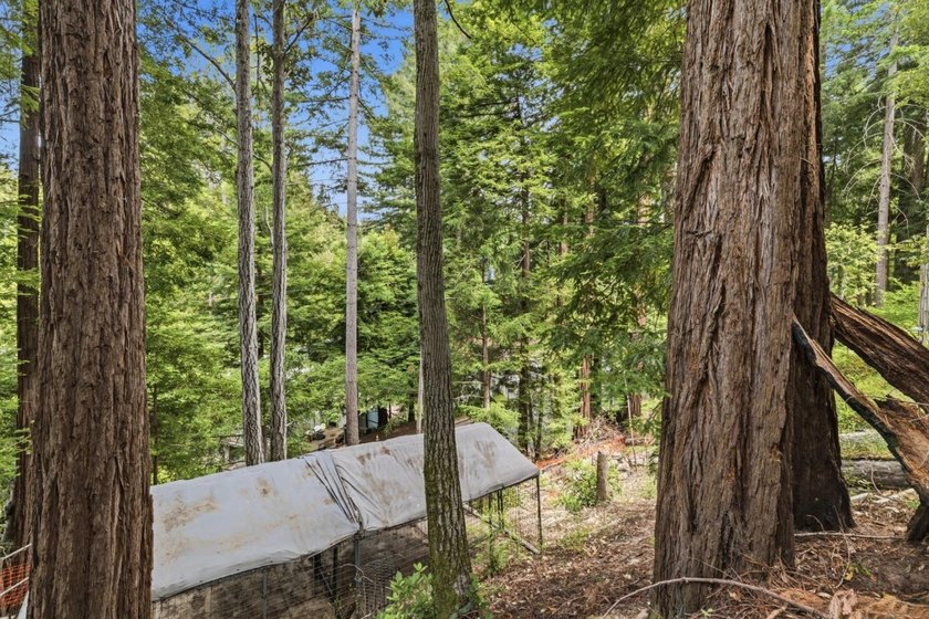 Nestled among the majestic redwoods of Boulder Creek, this - photo 45