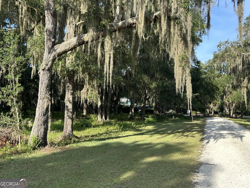 Build your dream home beneath a canopy of majestic live oaks in - photo 11