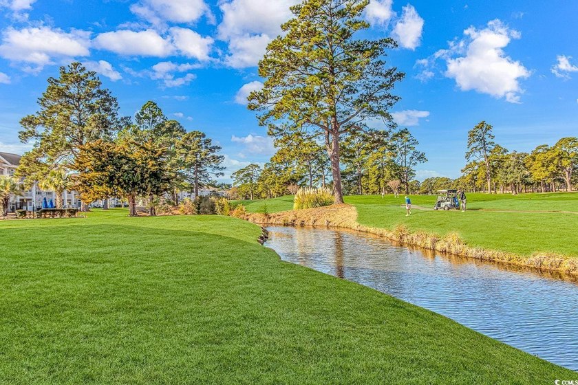 This highly desirable coastal area community, Magnolia Place - photo 31