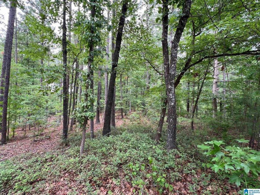The best of the best, one of the largest remaining lots in the - photo 3