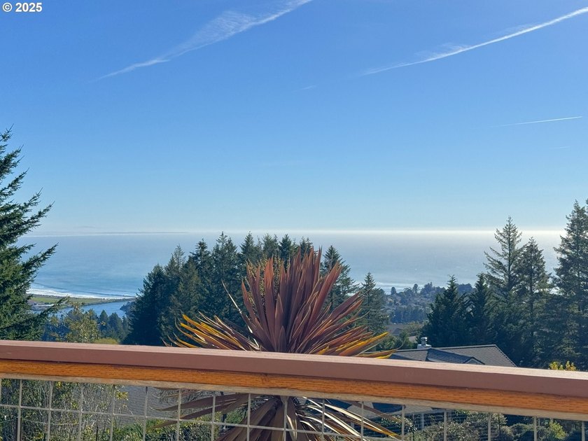 PRICE REDUCED! OCEAN VIEWS ABOUND in this light, bright and airy - photo 37