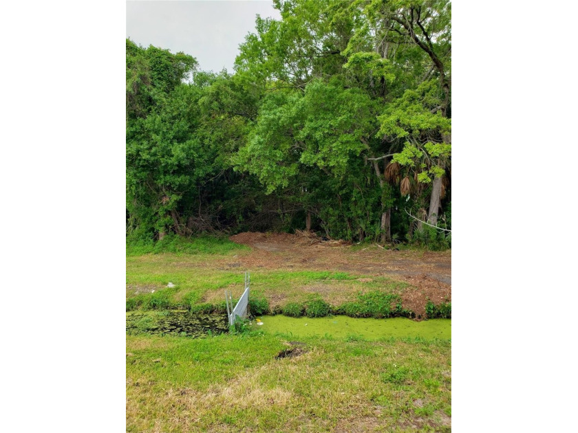 The best priced buildable homesites in Tarpon Springs near - photo 8