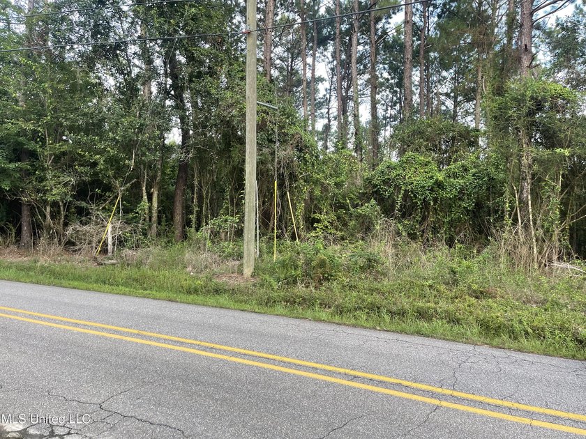12+/- acres located in the Orange Grove area of Gulfport - photo 17