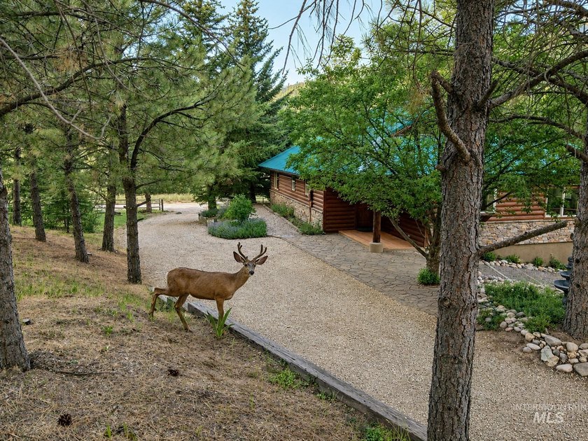 Nestled on 3.45 private acres in Wilderness Ranch on Daggett - photo 5