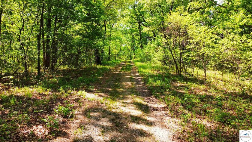 Here is a unique opportunity. Located just 3.7 miles (about 5 - photo 4