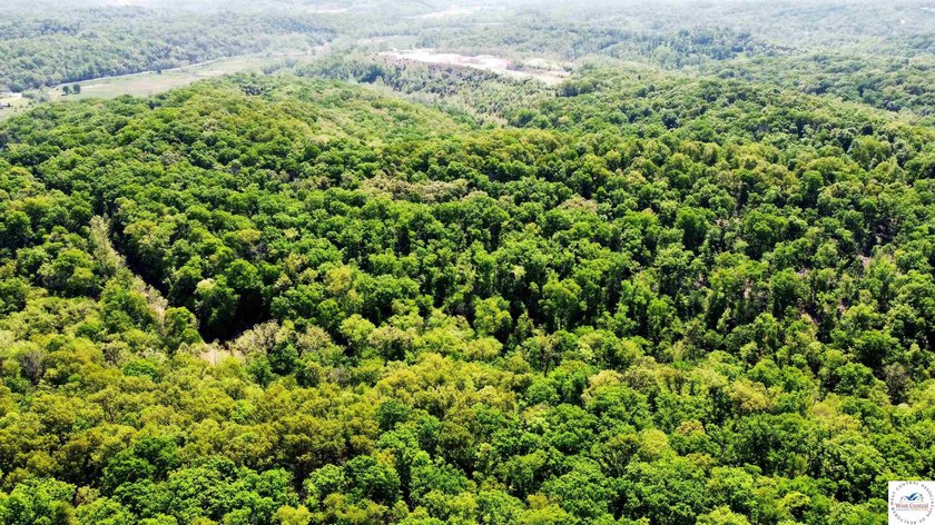 Here is a unique opportunity. Located just 3.7 miles (about 5 - photo 5