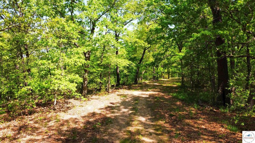 Here is a unique opportunity. Located just 3.7 miles (about 5 - photo 9