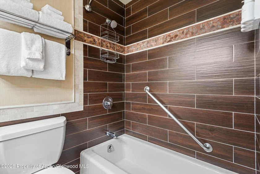 Secure this rare opportunity to own a ski-in/ski-out investment - photo 7