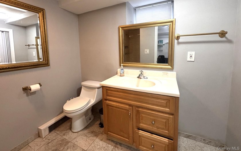 Welcome to this beautifully maintained Center Hall Colonial - photo 12