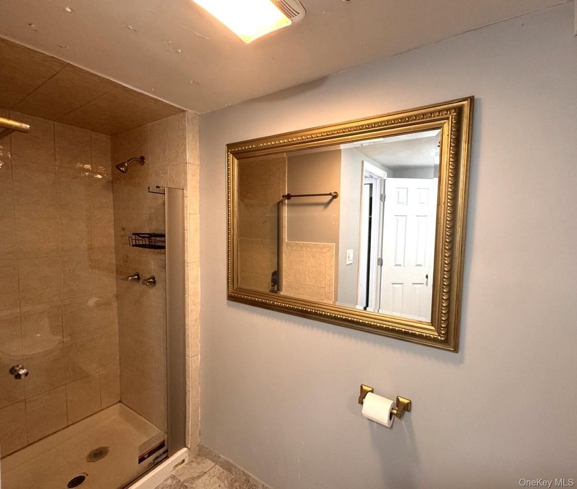 Welcome to this beautifully maintained Center Hall Colonial - photo 13
