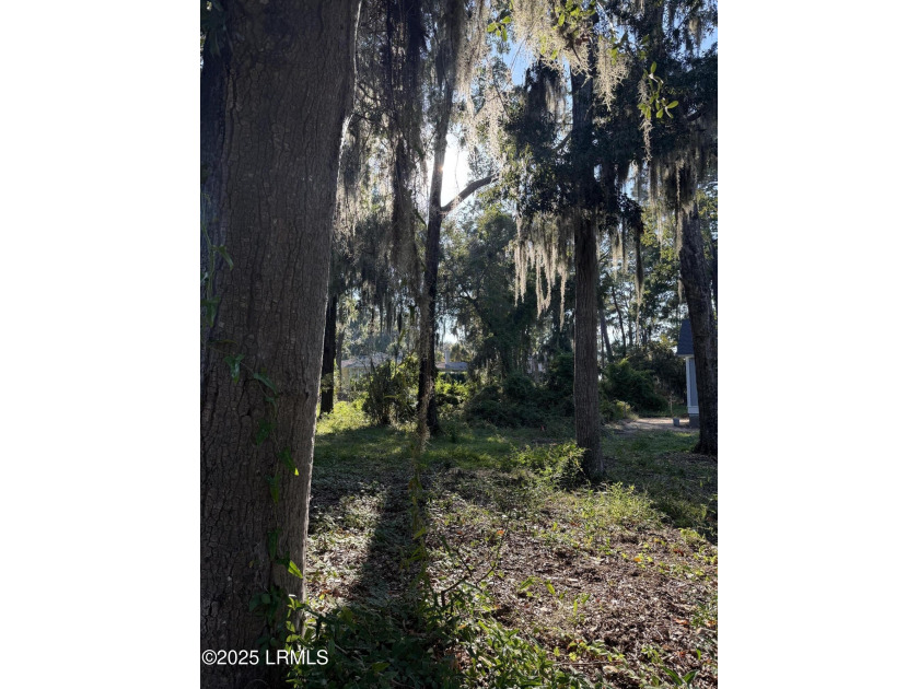 Amazing homesite in Pigeon Point with beautiful specimen trees - photo 3