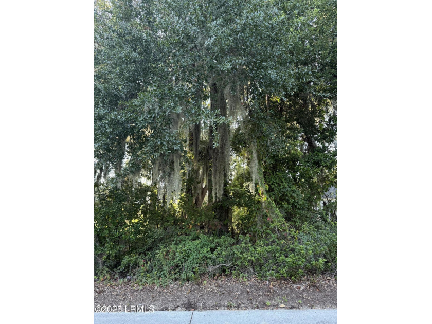 Amazing homesite in Pigeon Point with beautiful specimen trees - photo 4