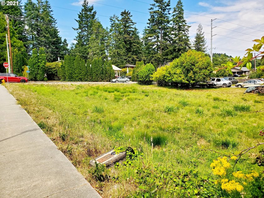 Bring your Contractor and your Plans! Zoned MULTI-FAMILY (R3) in - photo 6