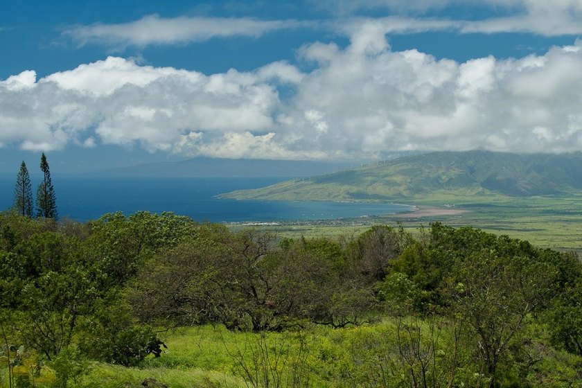 Welcome to perfection in Upcountry Kula. Imagine a private - photo 14
