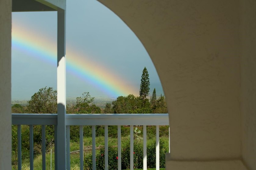 Welcome to perfection in Upcountry Kula. Imagine a private - photo 46