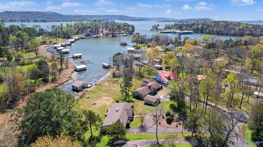 Waterfront living in the heart of Guntersville on Buck Island - photo 17
