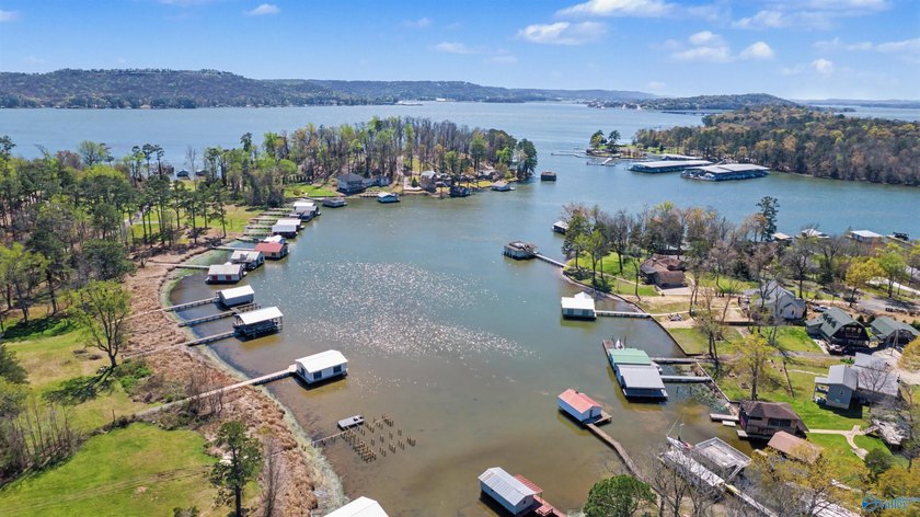 Waterfront living in the heart of Guntersville on Buck Island - photo 19