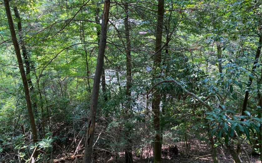 This river front lot is located in Buckhorn Estates, a wildlife - photo 12