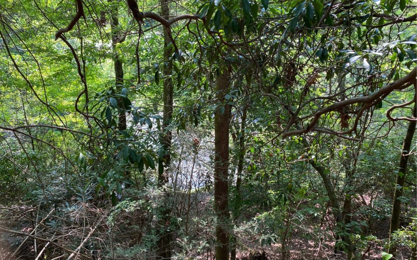 This river front lot is located in Buckhorn Estates, a wildlife - photo 13