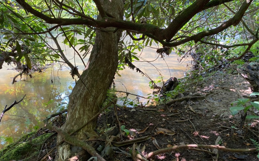 This river front lot is located in Buckhorn Estates, a wildlife - photo 15