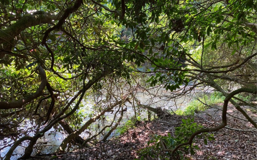 This river front lot is located in Buckhorn Estates, a wildlife - photo 17